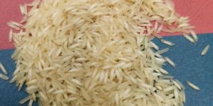 1509 Steam Basmati Rice