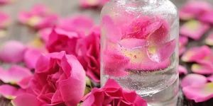 Organic Rose Water