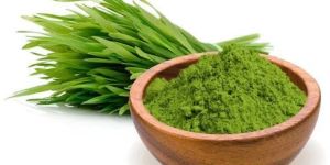 Organic Wheat Grass Powder