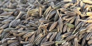 Cumin Seeds