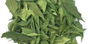 Organic Neem Leaves