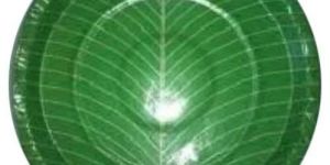 16 Inch Disposable Paper Plates