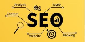 SEO Training