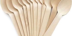 Disposable Areca Leaf Spoon