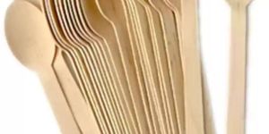 Natural Areca Leaf Spoon