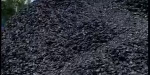 Coconut Shell Crafts