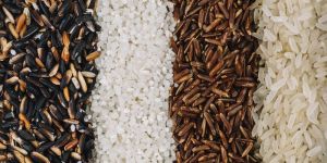 Fortified Rice Kernels