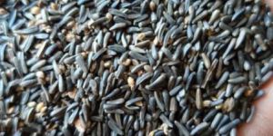 Niger Seeds