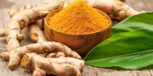 Turmeric Extract Powder