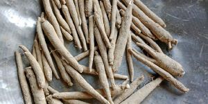Ashwagandha Roots