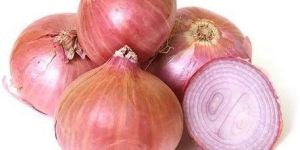 Fresh Pink Onion
