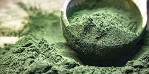 Dry Spirulina Powder