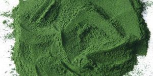Herbal Spirulina Powder