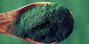 Pure Spirulina Powder