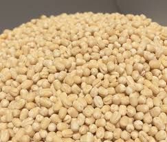 Skinless Urad Dal