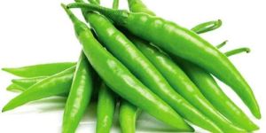 Fresh Green Chilli