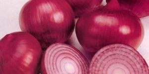 Fresh Red Onion