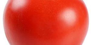 Fresh Red Tomato