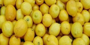 Fresh Yellow Lemon