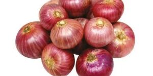 Fresh Pearl Onion