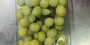 Green Thompson Grapes