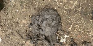 Cow Dung