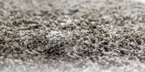 Carpet Cleaning Service