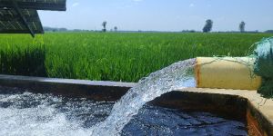 Solar Monoblock Motor