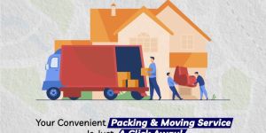 Domestic Relocation Service