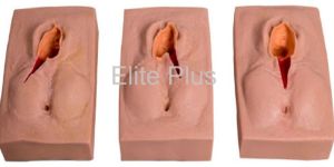 Vulva Suturing Training Simulator