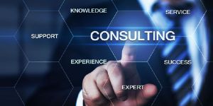 Bsci Audit Consultancy
