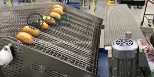 Stainless Steel Honeycomb Wire Mesh Belt