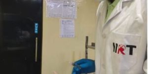 Sub Acute Toxicity Studies