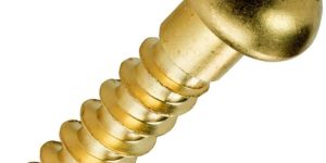 Round Head Brass Slotted Screw