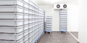 Industrial Cold Room Storage Service