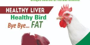 Unique Source of Natural Biotin and Choline