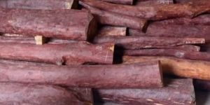 Red Sandalwood Logs