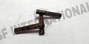 Yellow Buffalo Horn Rolls