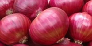 Red Onion