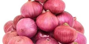 Fresh Pink Onion