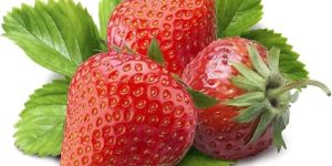 Fresh Strawberry