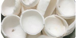 Natural Frozen Tender Coconut Slice