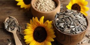 Sunflower Seeds