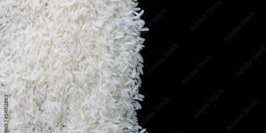 Thai Jasmine Rice