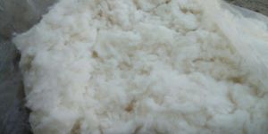 mcu5 Indian Raw Cotton