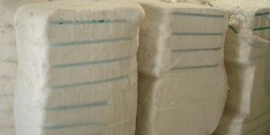 Raw Cotton Shankar-6