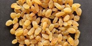 Dried Golden Raisin