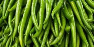 Fresh Long Green Chilli