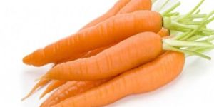 Fresh Orange Carrot