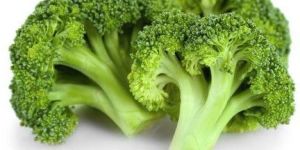 Fresh Organic Broccoli